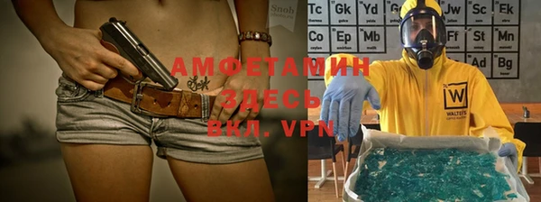 эйфоретик Ельня