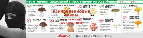 эйфоретик Ельня