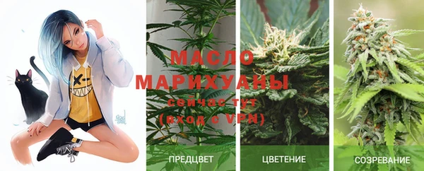 эйфоретик Ельня