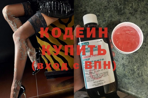 эйфоретик Ельня